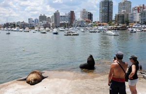 Agenda de actividades en Maldonado entre el 25 de setiembre y el 2 de octubre de 2019