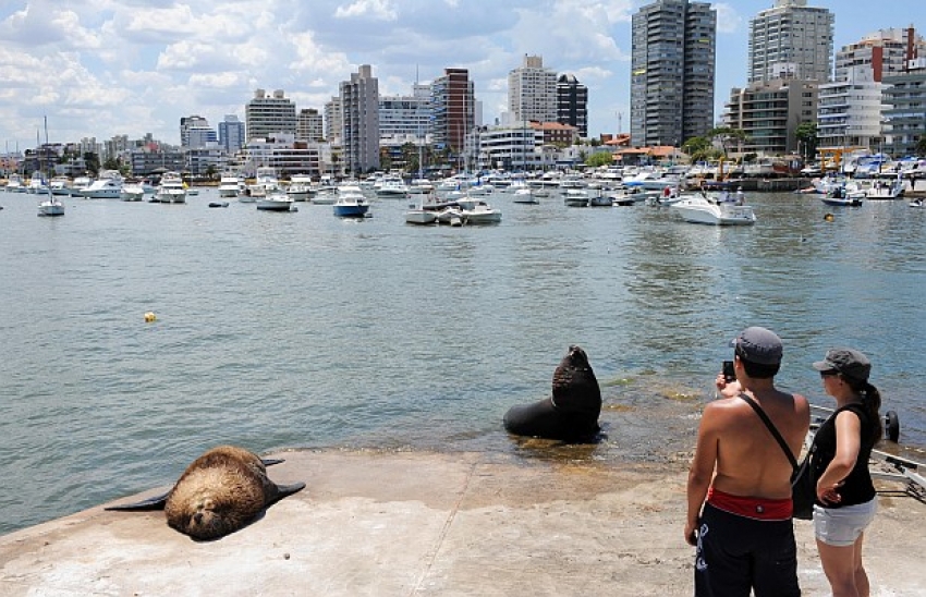 Agenda de actividades en Maldonado entre el 25 de setiembre y el 2 de octubre de 2019