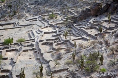 Tradición y naturaleza en los Valles Calchaquíes 