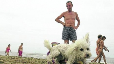 La tendencia pet friendly se ganó un lugar en la costa argentina