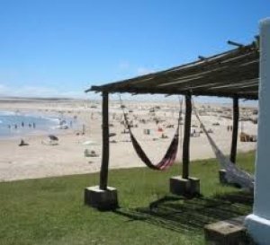 Gestión pública del turismo IV: Conducción del turismo