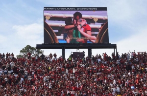 Fiesta total, un hincha de Flamengo le pide matrimonio a una hincha de Palmeiras en medio del partido