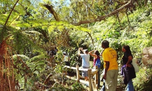 DMT 2010: la Biodiversidad y la Sostenibilidad