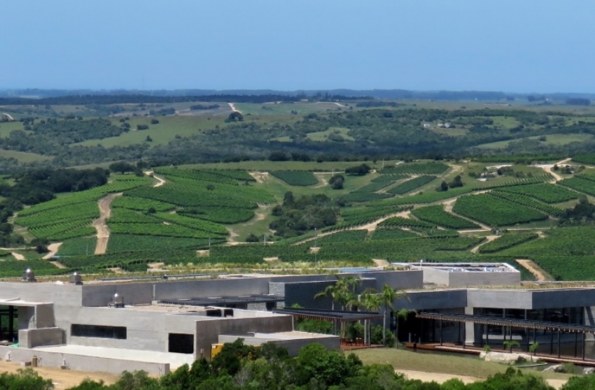 Agenda de actividades en Maldonado entre el 5 y el 12 de marzo de 2020