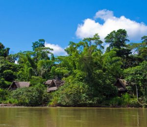 Inmersi&oacute;n quechua en el Amazonas