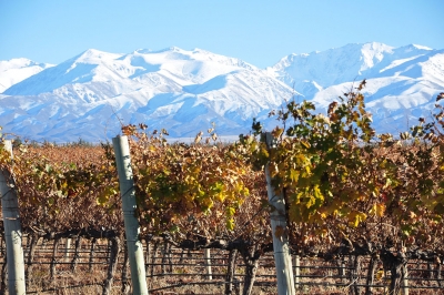 Cinco circuitos en el Cuyo Argentino: rutas del Vino en San Juan