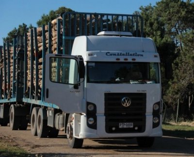 Uruguay: increíble afirmación de un Ministro