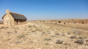 Kalahari: fauna entre las dunas