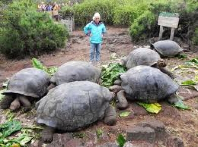 Galápagos puntualiza regulación de la afluencia de visitantes