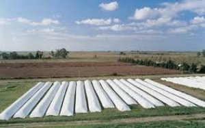  El trabajo es nuestro…..los dólares del gobierno…