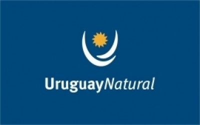 Ministerio de Turismo implementa Call Center para orientar por situación de Pluna