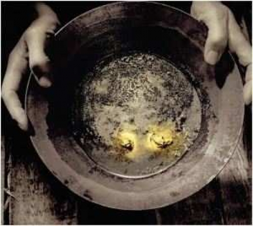 Se identifican tendencias de viajes en 2020 