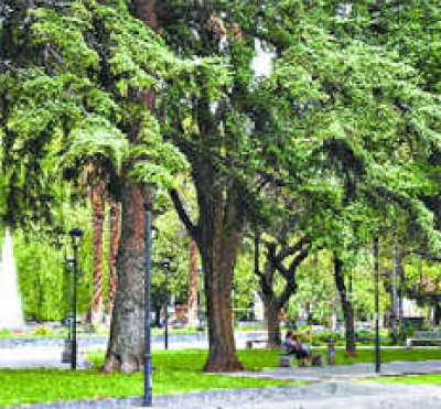 Verde e inmensa, la plaza Independencia re&uacute;ne a visitantes y locales en sus cuatro manzanas
