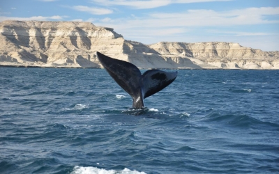 La Península de Valdés