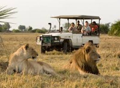 El Ébola hunde las reservas de safaris pese a estar a 3.000 kilómetros de distancia