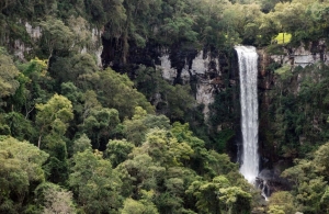 Misiones: El camino de los pueblos inmigrantes 