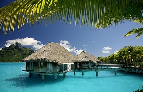 El paraíso está en la Polinesia