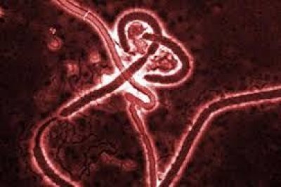 Ebola: USO y CSIF-AENA piden la revisión de protocolos aeroportuarios ante el ébola