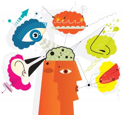 Apuntando a lo sensorial