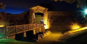 Por las mejores fiestas