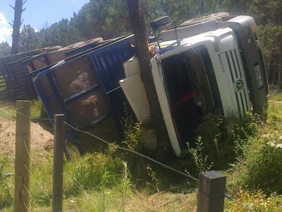 Volc&oacute; cami&oacute;n con rolos rumbo al Puerto de La Paloma