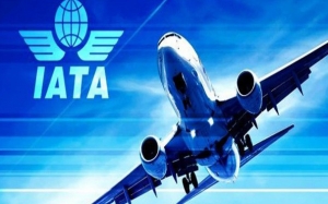 IATA presenta primer reporte mensual del a&ntilde;o con elevado nivel de tr&aacute;fico