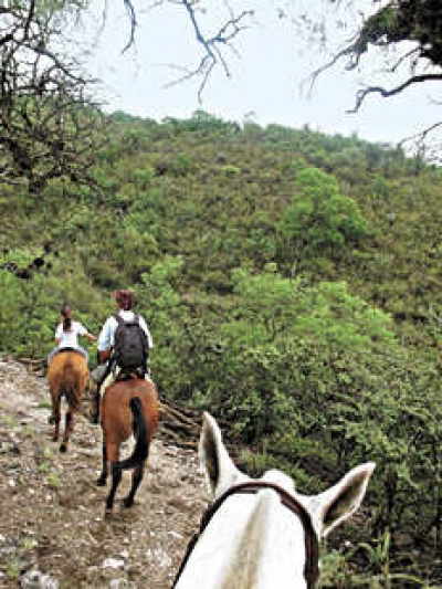 Cabalgatas por los faldeos de los cerros hasta la quebrada del r&iacute;o Los Angeles