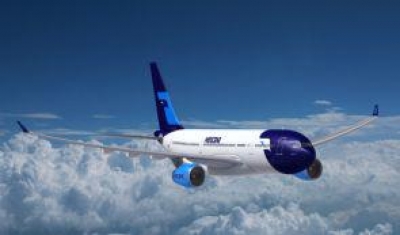 Traspasan 100% de las acciones de Mexicana de Aviaci&oacute;n a Fideicomiso 