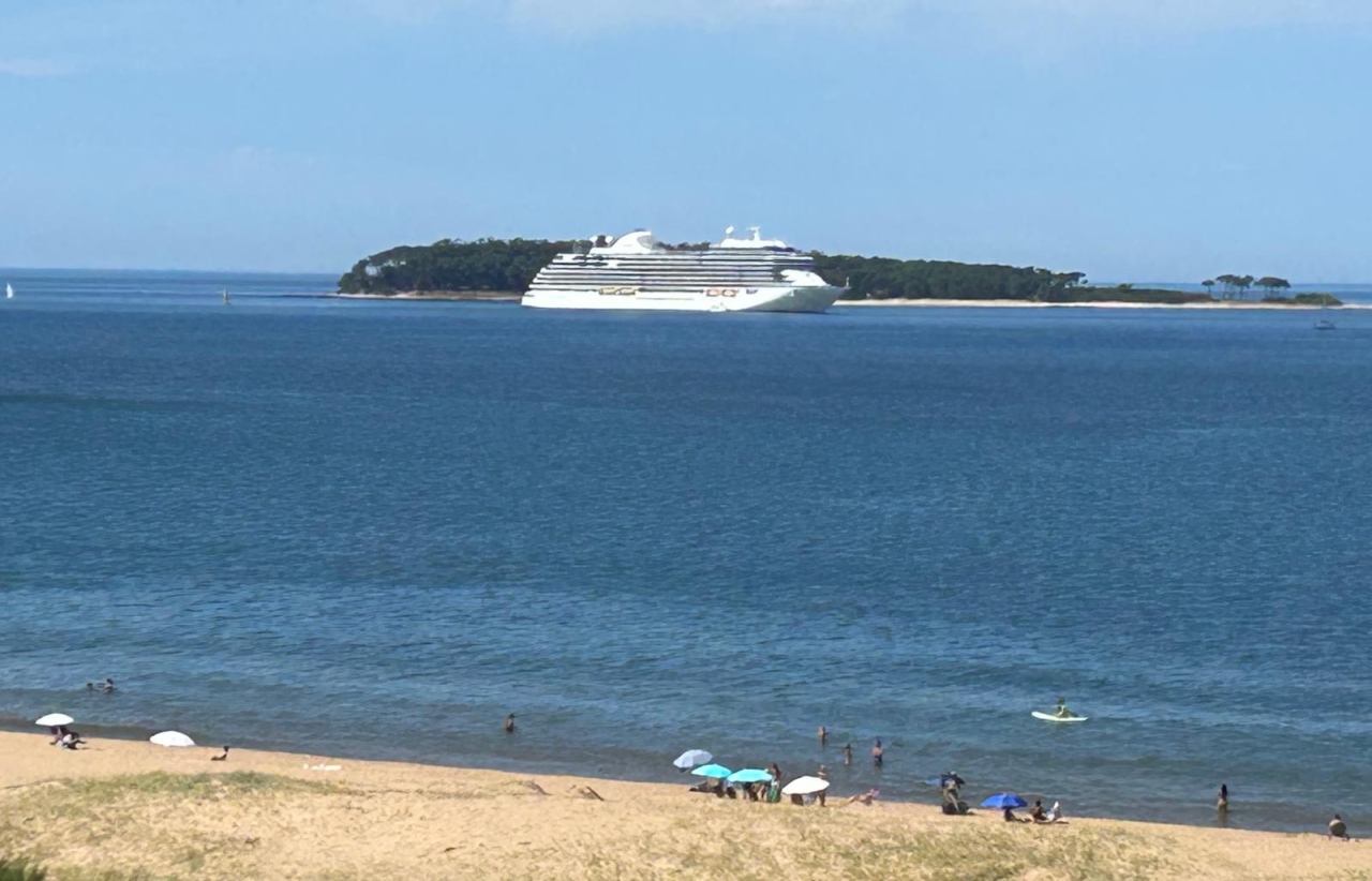 Cuentos, m&uacute;sica, muestras y mucho m&aacute;s