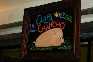 La culpa no es del chancho...