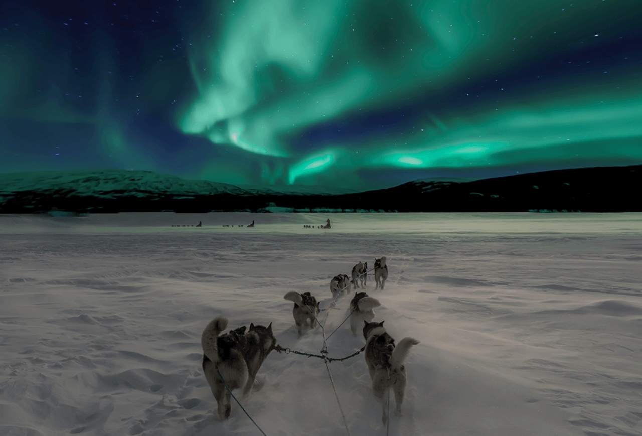 Trineos tirados por perros Husky o por renos y paseos en moto de nieve