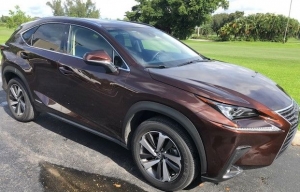 Preview del Lexus NX 300h 2018