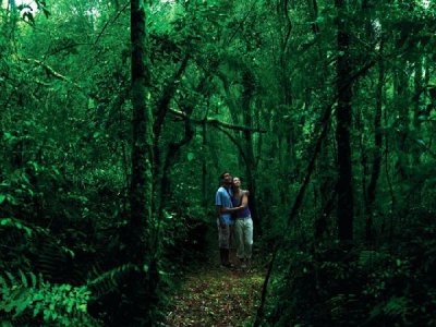 Cautivados por la Selva