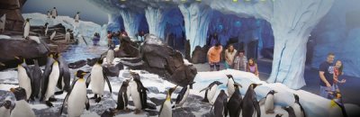 Atrapantes eventos anuncia para el 2014 SeaWorld Orlando