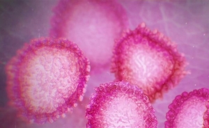 La pandemia del coronavirus