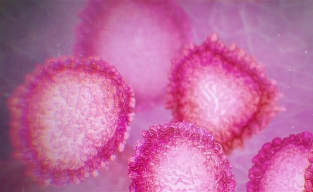 La pandemia del coronavirus