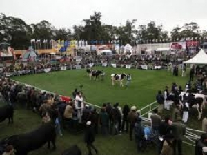 Expo Prado 2011