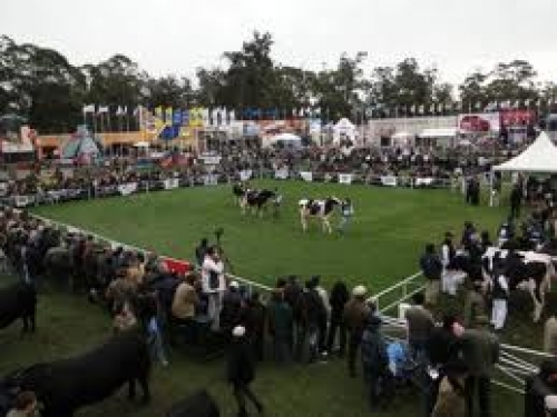 Expo Prado 2011