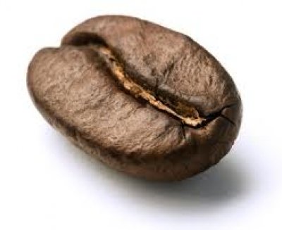 El grano de café: un cuento de resiliencia e innovación