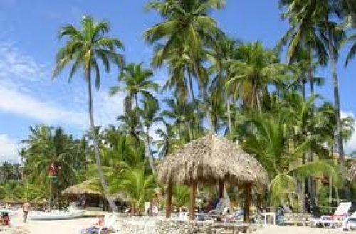 Crear aerol&iacute;nea de bandera para el desarrollo tur&iacute;stico de Dominicana