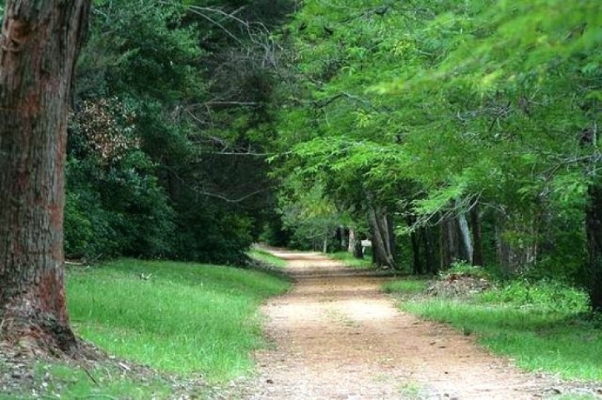 Agenda de actividades en Maldonado entre el 24 y 31 de julio de 2019