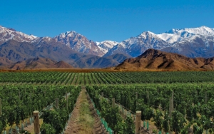 Turismo en Mendoza, la autocr&iacute;tica que nos debemos