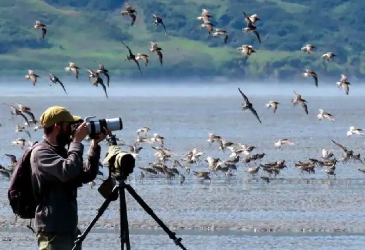 Paraguay ser&aacute; sede de la XV Feria de Aves de Sudam&eacute;rica en el mes de septiembre