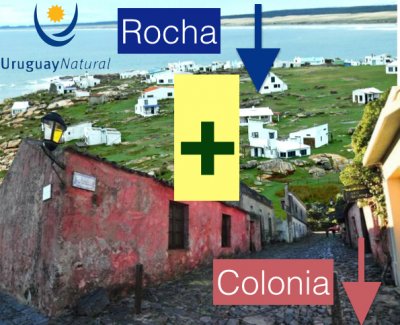 La baja del turismo impact&oacute; en mayor medida a Colonia y Rocha