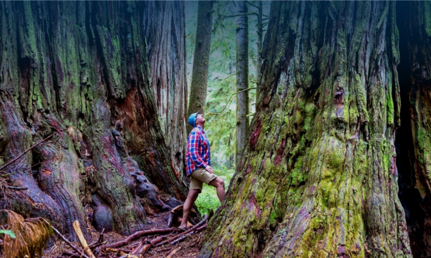 OMT: "La sostenibilidad es la nueva normalidad", visi&oacute;n de futuro para el turismo