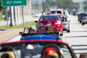 Florida Car Marathon 500 2014