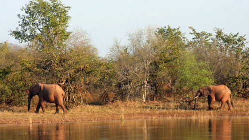 Safaris desde el agua en Zimbabue