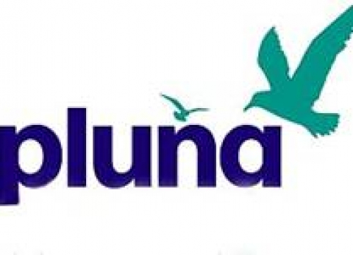 Nuevo record de pasajeros de Pluna