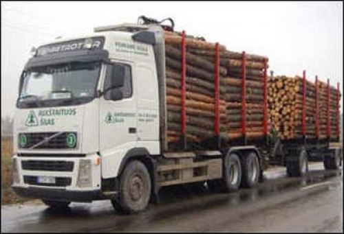El bot&iacute;n rochense acechado por puerto maderero y puente de Garz&oacute;n. El s&iacute;ndrome del cami&oacute;n...