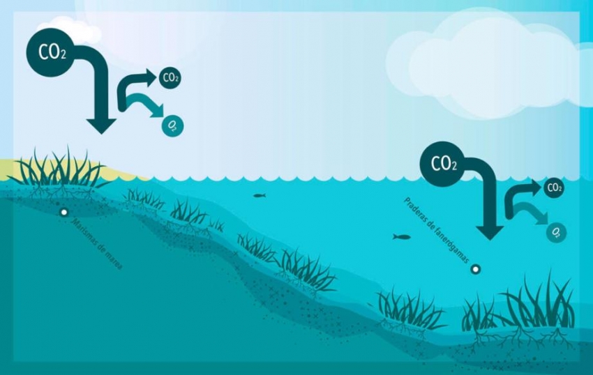 La OMT, Panam&aacute; y NOAH apoyan la creaci&oacute;n de un Fondo de la ONU para la neutralidad clim&aacute;tica del turismo